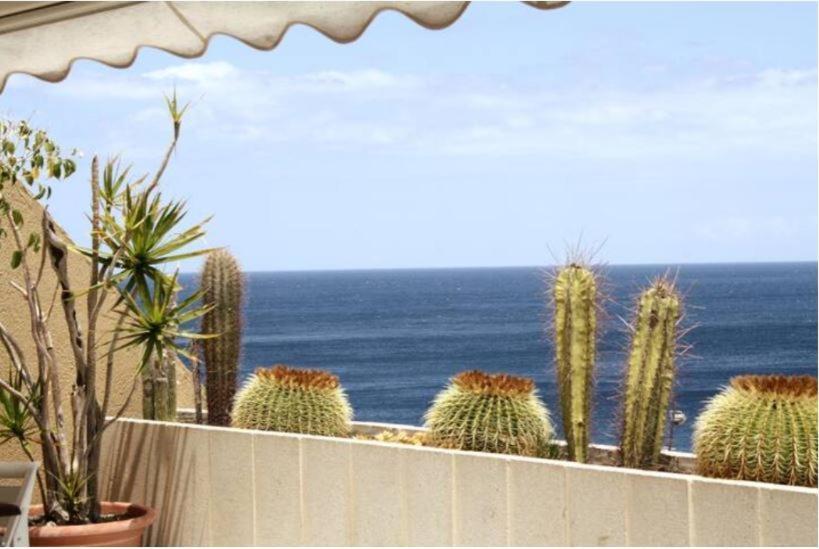 Apartamento Frente Al Mar Radazul Εξωτερικό φωτογραφία